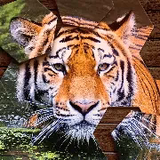 Jigsaw Hexa Puzzle