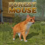 Forest Mouse
