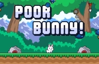Poor Bunny
