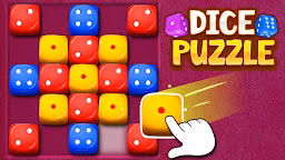 Dice Puzzle