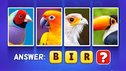 Pics Word Game