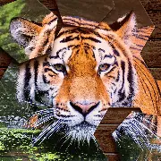 Jigsaw Hexa Puzzle