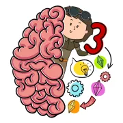 Brain Test