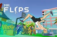 MR FLIP